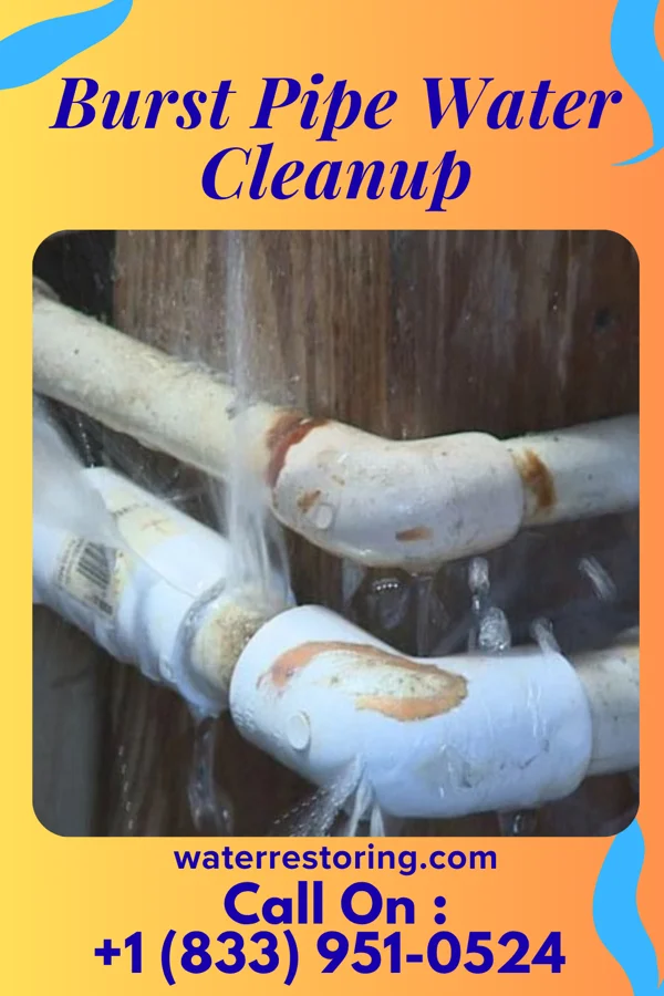 Burst Pipe Water Cleanup in Pinesburg, MD