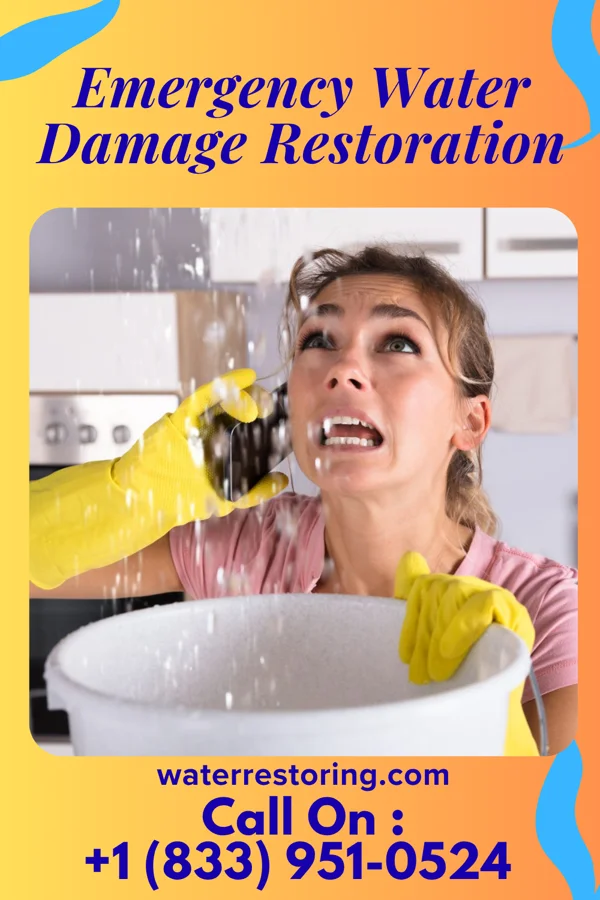 Emergency Water Damage Restoration in Pinesburg, MD